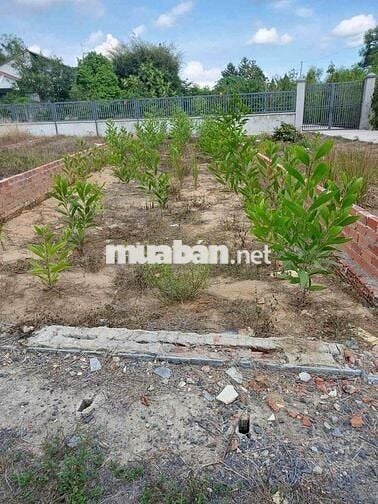 🏡 CHÍNH CHỦ CẦN BÁN ĐẤT - ĐƯỜNG HÙNG VƯƠNG