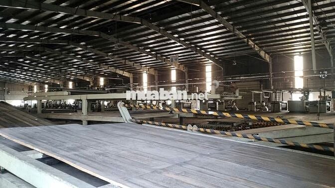 Cho thuê kho xưởng 4.000m² riêng biệt trong CCN Lợi Bình Nhơn, Long An