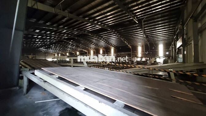 Cho thuê kho xưởng 4.000m² riêng biệt trong CCN Lợi Bình Nhơn, Long An