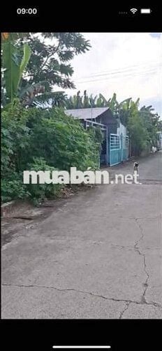 bán đất tân khánh. hồ chí minh
