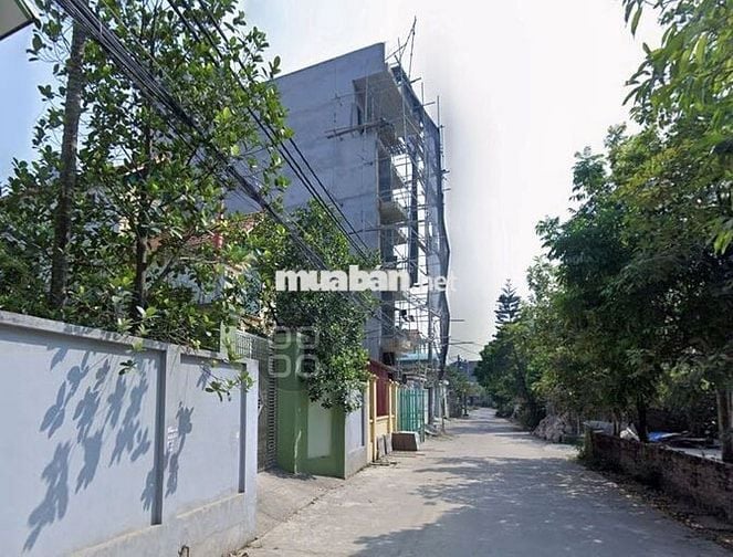 Tôi chính chủ bán đất ở Hải Bối, Đông Anh, Hà Nội. Diện tích 85.5m².