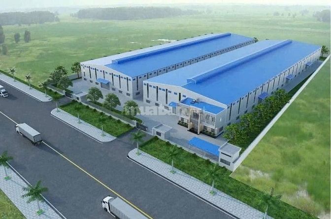 Cho thuê xường mới Vĩnh Long  dt 37000m( 3.7 ha )