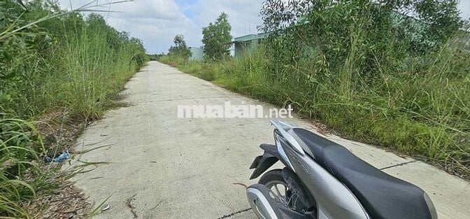 CỤC THỔ GIÁ RẺ 120 MV KHU DÂN CƯ