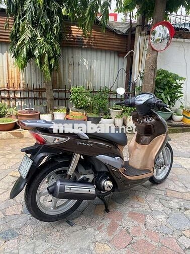 Xe SYM shark