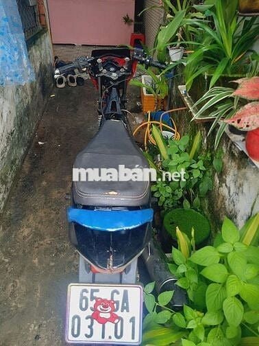 Xe máy Suzuki màu hồng cho cả nam và nữ