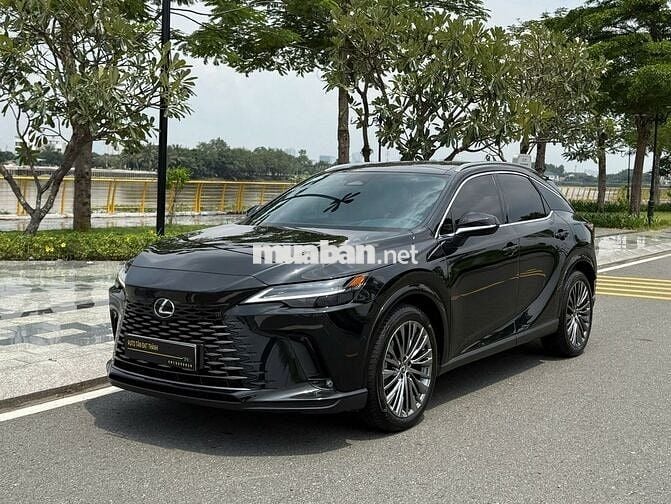 LEXUS RX 350 "LUXURY"