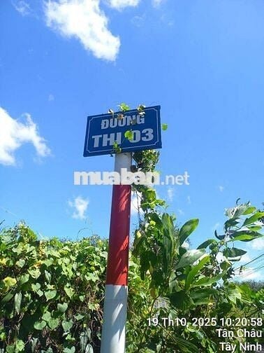 CHÍNH CHỦ CẦN BÁN 150M2 ,THỔ CƯ 1 PHẦN