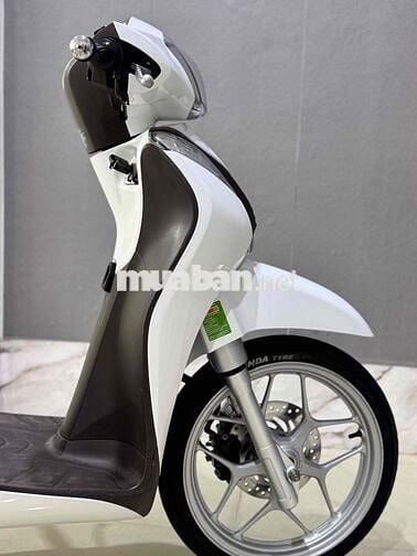 sh mod chính chủ