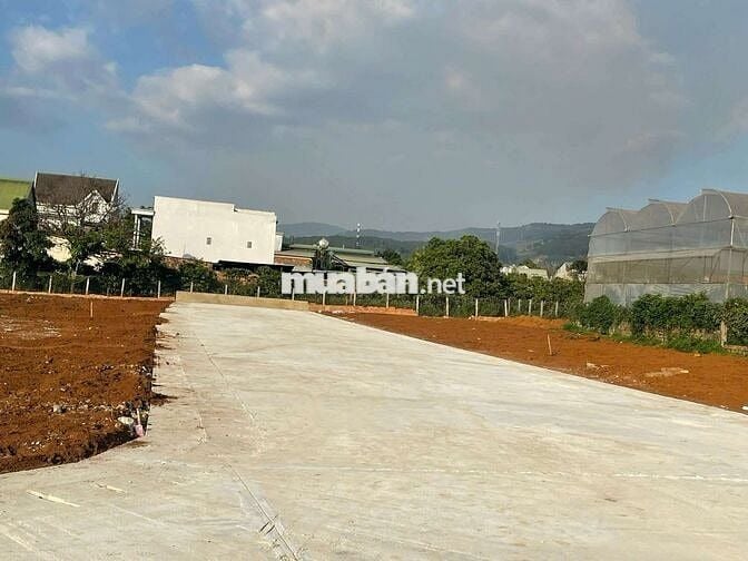 BÁN ĐẤT XÂY BIỆT THỰ NGHỈ DƯỠNG NGAY PHƯỜNG CAMLY ĐÀ LẠT GIÁ 2,5 TỶ