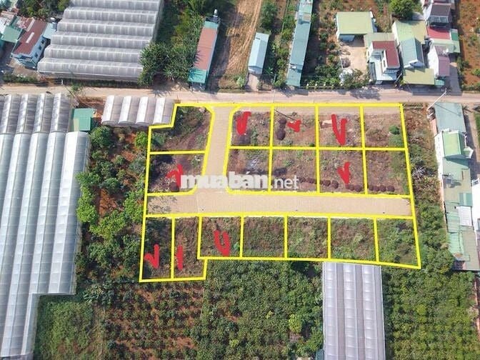 BÁN ĐẤT XÂY BIỆT THỰ NGHỈ DƯỠNG NGAY PHƯỜNG CAMLY ĐÀ LẠT GIÁ 2,5 TỶ