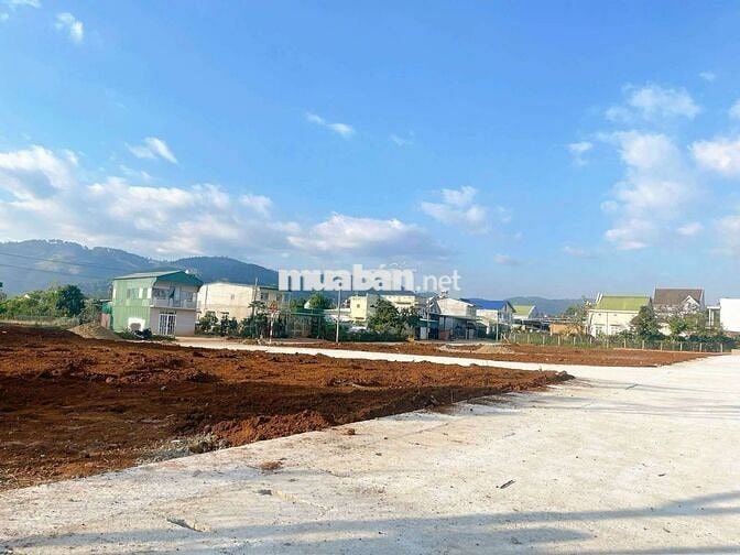 BÁN ĐẤT XÂY BIỆT THỰ NGHỈ DƯỠNG NGAY PHƯỜNG CAMLY ĐÀ LẠT GIÁ 2,5 TỶ