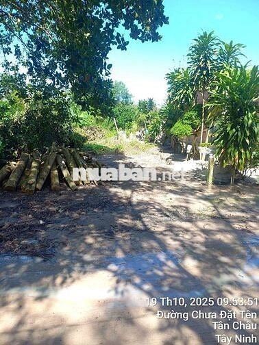 CHÍNH CHỦ CẦN BÁN 150M2 ,THỔ CƯ 1 PHẦN