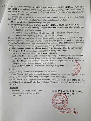 CÔNG TY ĐẤU GIÁ HỢP DANH SỐ 1 QUỐC GIA THÔNG BÁO BÁN ĐẤU GIÁ TÀI SẢN 