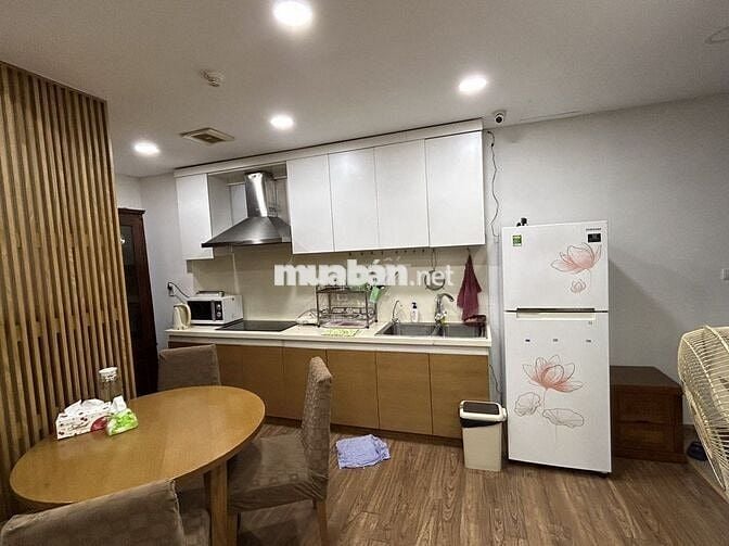 Cho thuê Dolphin Plaza - Trần Bình 75m2 1PN full đủ đồ giá 14,5tr/th