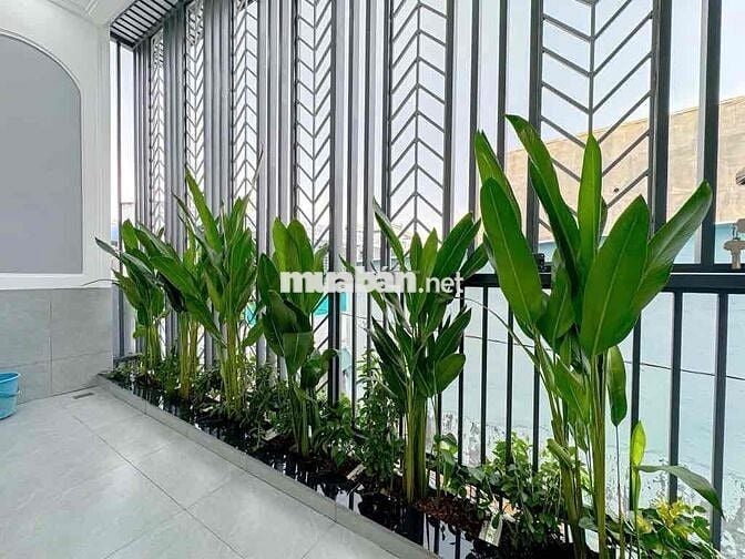 Nhà m Quận 7 , Thiết kế 2025, 120m2 DTSD, Khu Kiều Đàm , Tân Hưng