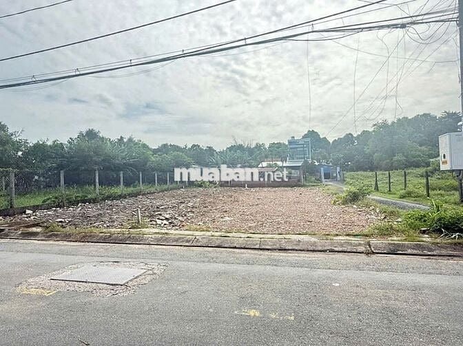 BÁN ĐẤT HÓC MÔN DIỆN TÍCH 226 M2 – MẶT TIỀN PHÙNG THỊ CHUYỆN