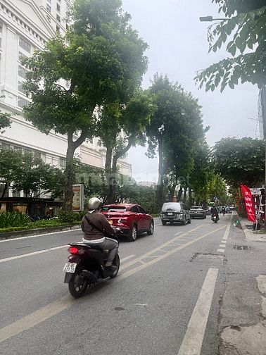 Giảng Võ, hiếm nhà 7 tầng bán, 5m ngang, ô tô vào nhà, phân lô, No QH