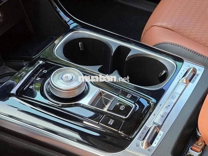 Kia Carnival Signature  2.2 Máy dầu 2024 - 8000 km