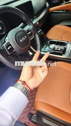 Kia Carnival Signature  2.2 Máy dầu 2024 - 8000 km