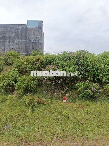 Đất full thổ cư Hòa Ninh cần bán