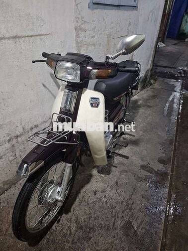 Dream thai 95