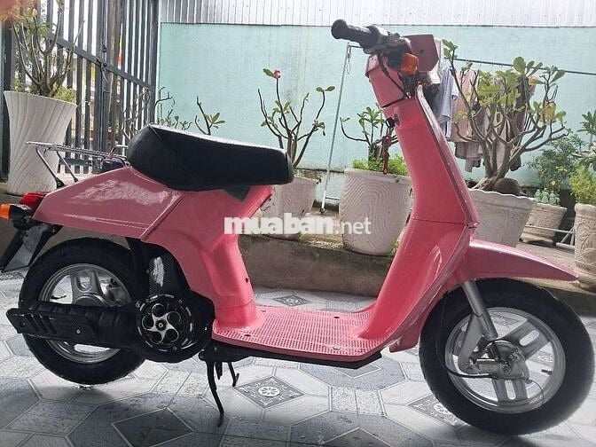 Xe 50cc 2 thì