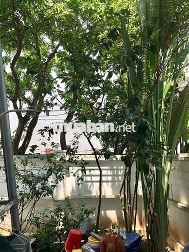 Hồng Tiến- Biệt Thự sân vườn -
