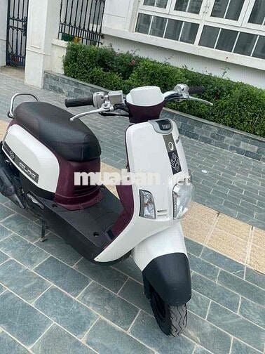 Thanh lý yamaha cuxi phun xăng điện tử vẫn còn mới
