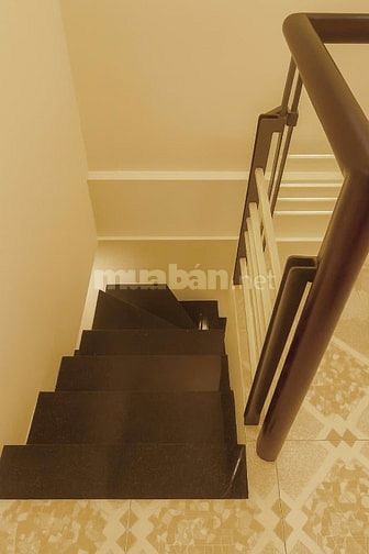 Cho thuê Nhà đẹp Nguyễn Cảnh Chân, Q1. DT 3,5x12m, trệt + 1 lầu