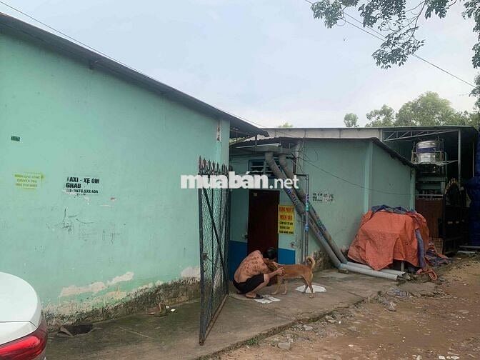 Cần bán nhà đất mặt tiền đường DT741, Hoà Lợi, Bến Cát, Bình Dương