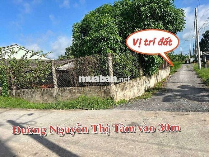 5×35=175mv THỔ CƯ 100% ,ÔTÔ NGAY ĐẤT ,TÂN TRỤ LONG AN