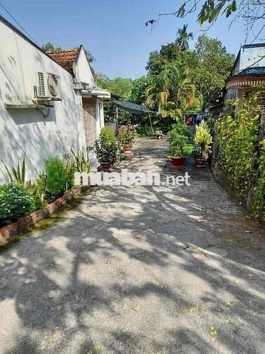 Đất có nhà mặt tiền gần Tỉnh Lộ 15 giá rẻ