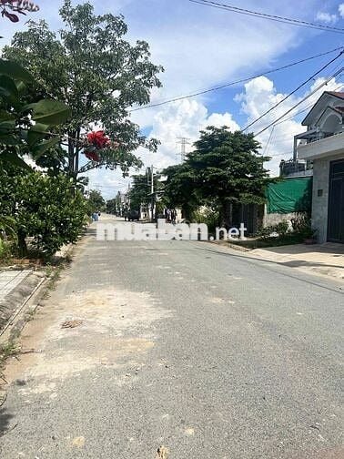 Đất sổ hồng 115m2 đường số 5 , khu dân cư trần anh,đức hoà , long an