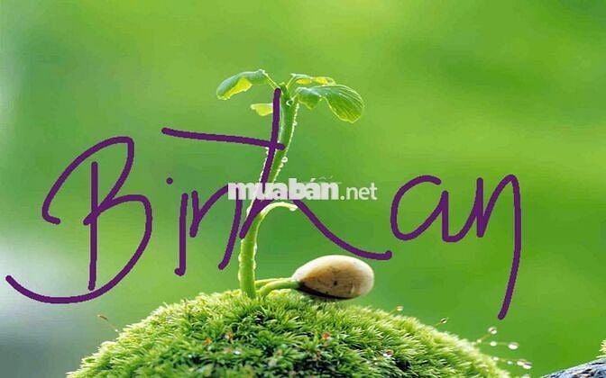 Có việc nên bán lại