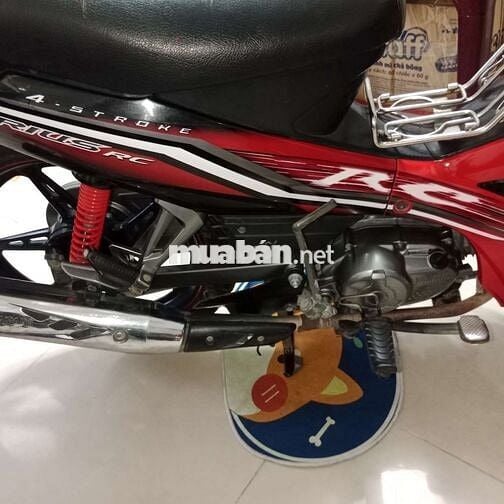 Sirutus chính chủ kí giấy