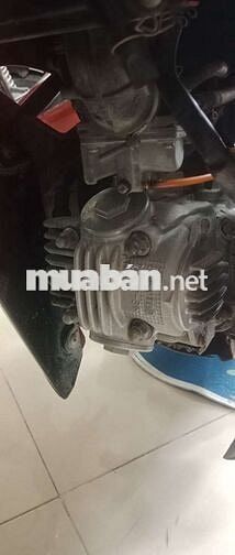 Sirutus chính chủ kí giấy