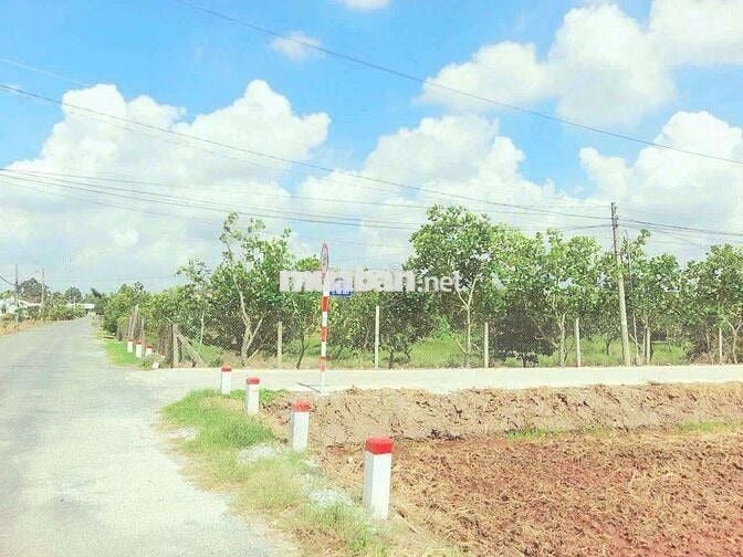 Quá ngộp, 1172m2 đất có 295m2 thổ cư 22 x 51m, chốt 850tr