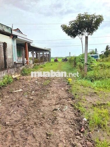 Quá ngộp, 1172m2 đất có 295m2 thổ cư 22 x 51m, chốt 850tr