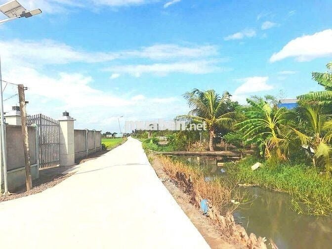 Quá ngộp, 1172m2 đất có 295m2 thổ cư 22 x 51m, chốt 850tr