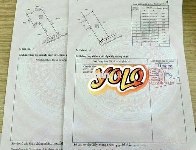 Quá ngộp, 1172m2 đất có 295m2 thổ cư 22 x 51m, chốt 850tr