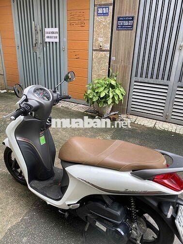 Janus Limited 2022 rất mới