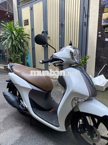Janus Limited 2022 rất mới
