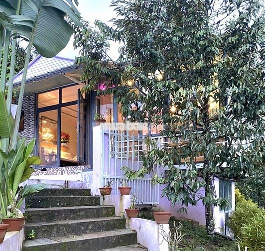 Cho thuê nhà nghỉ dưỡng Bảo Lộc