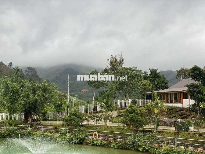 Cho thuê nhà nghỉ dưỡng Bảo Lộc