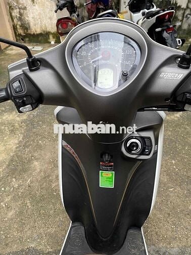 Janus Limited 2022 rất mới