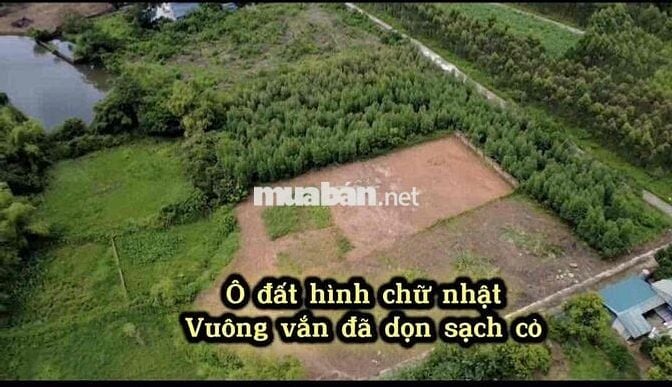 Chính chủ cần bán gấp lô đất.  Băng 2 sau Đường Nguyễn Tất Thành. Khu