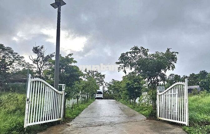 Cho thuê nhà nghỉ dưỡng Bảo Lộc