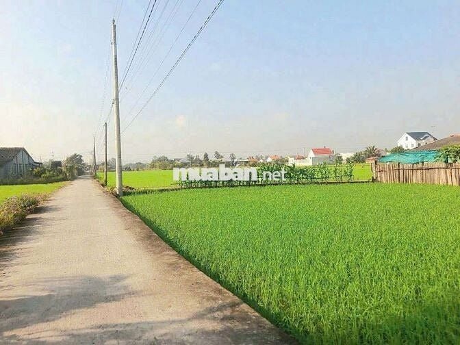 970m2 đất thổ cư đường xe tải Cầu Quay chỉ 950tr