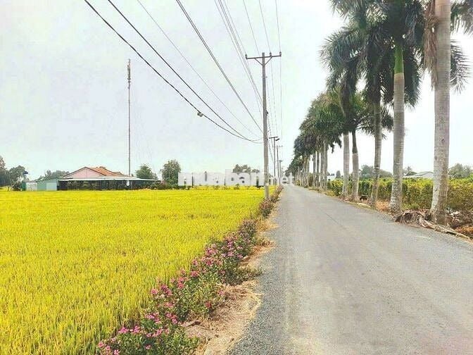 970m2 đất thổ cư đường xe tải Cầu Quay chỉ 950tr