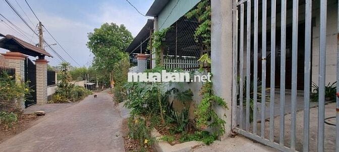 Bán nhà vườn đẹp giá rẻ khu thủy điện Trị An - Đồng Nai - ngay chợ
